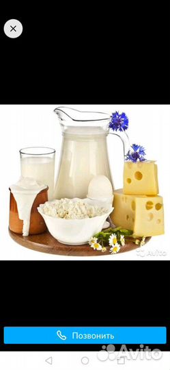 Молочные продукты
