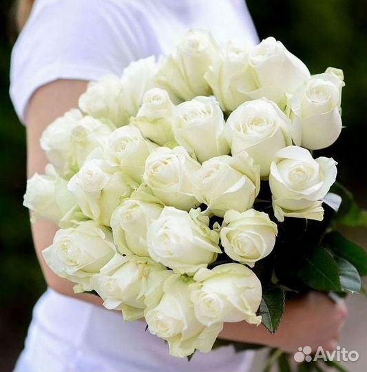 Метровые розы с доставкой