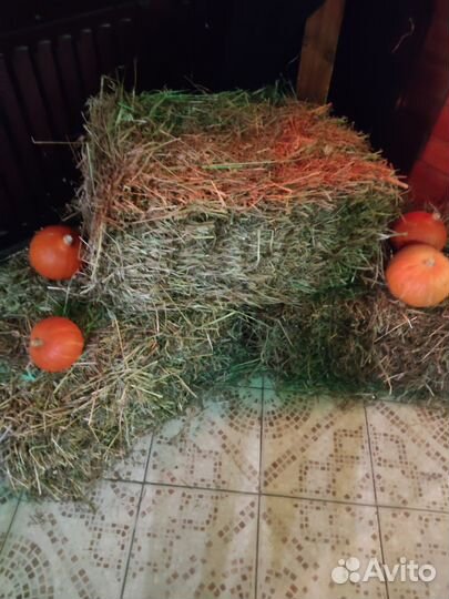 Сено в тюках