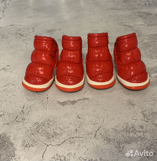 Обувь для собак