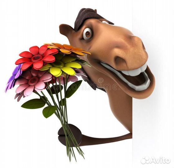 Конский навоз и перегной бесплатно