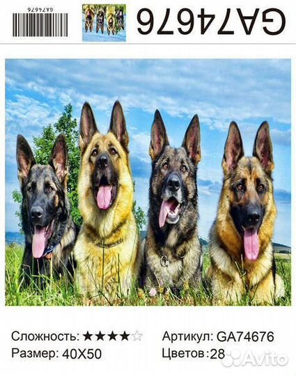 Алмазная мозаика 40x50 Четыре довольных овчарки