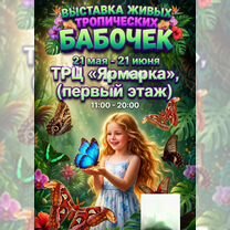 Экскурсовод, Ухта