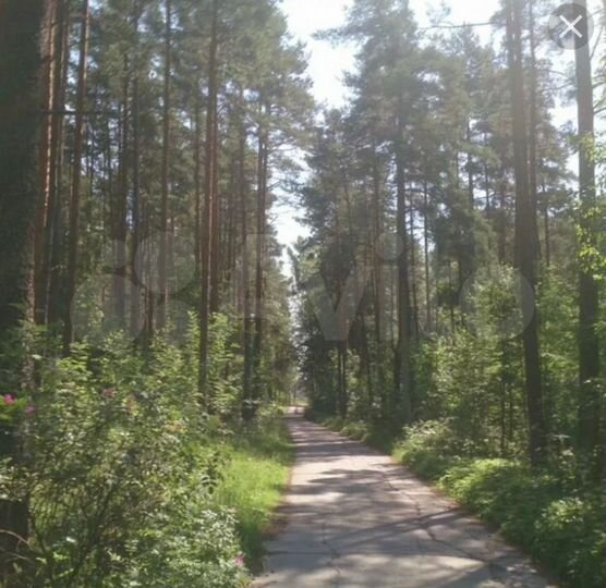 Участок 11,1 сот. (СНТ, ДНП)