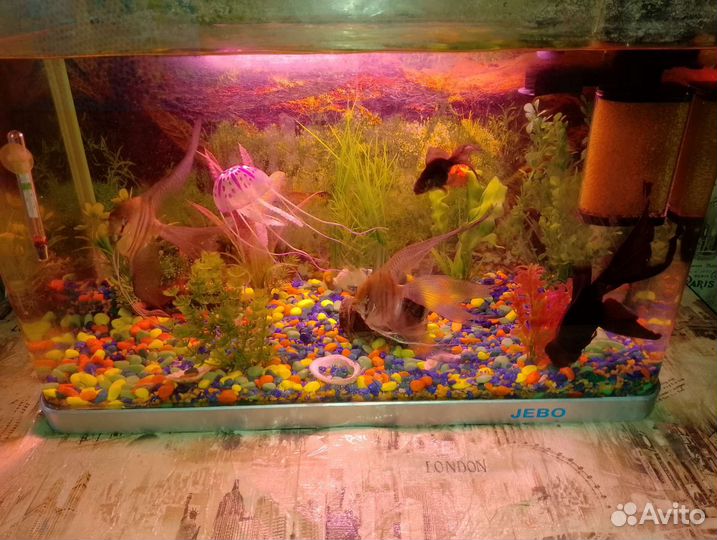 Украшение для аквариума