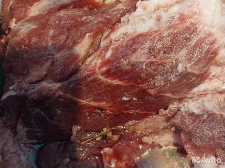 Продам мясо говядина