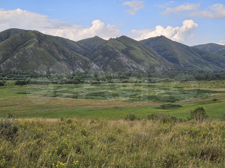 Участок 4 га (СНТ, ДНП)