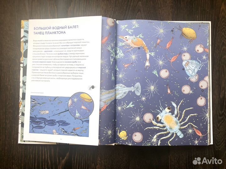 Живой мир под микроскопом, большой формат