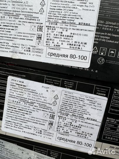 Креветка магаданская 70+