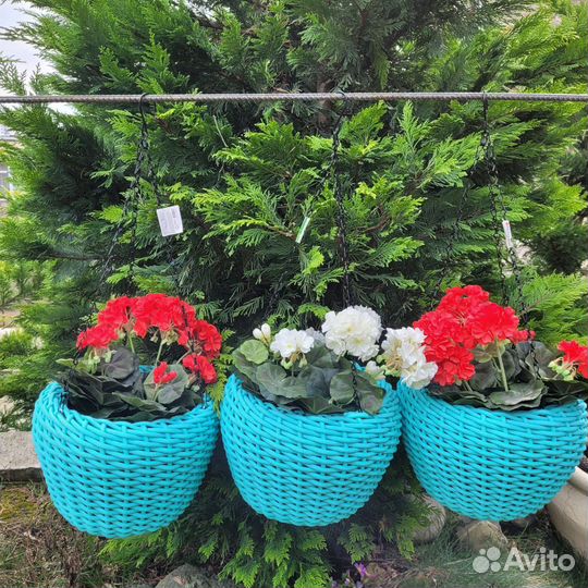 Кашпо горшок для цветов