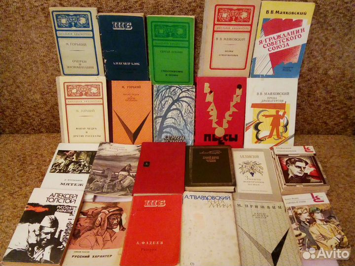 Классика рус. и заруб.,в том числе из шк.пр.,проч