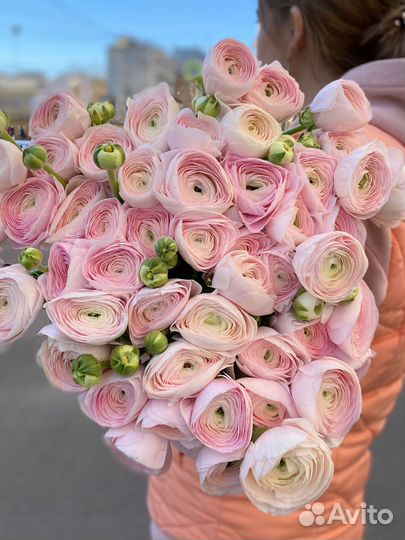 Ранункулюсы премиум букет на День влюбленных дост