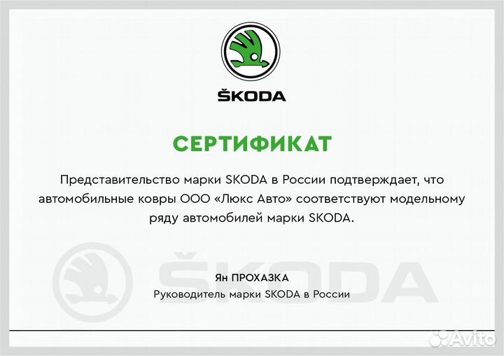 3D Коврики Skoda Kodiaq Karoq 2022 2021 2020 2019