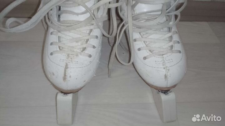 Фигурные коньки jackson elle