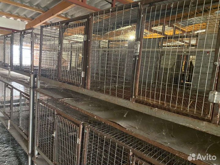 Клетка для кролика