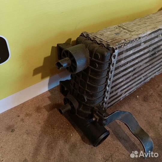 Радиатор интеркулера Ford Focus 3 1.6 diesel