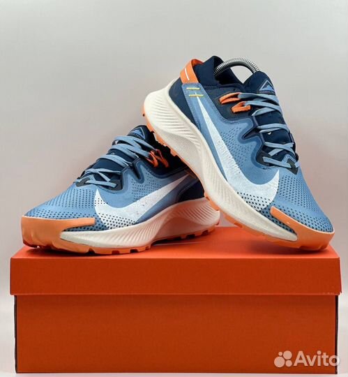 Nike Pegasus Trail 2 мужские k-2269