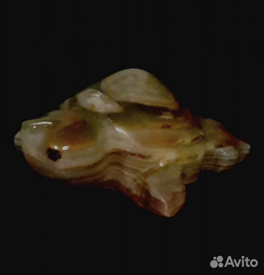 Фен-шуй черепаха для коллекции