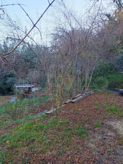 Участок 4 сот. (ИЖС)