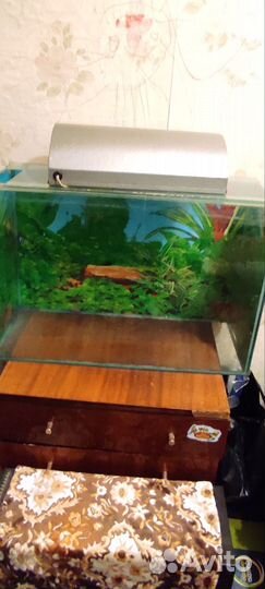 Аквариум