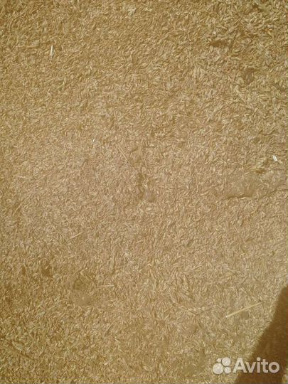 Отходы, ячмень