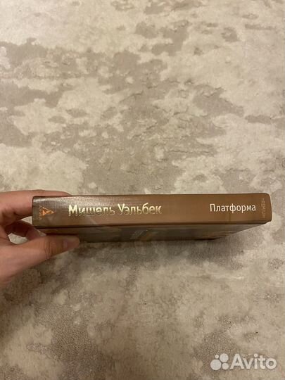 Мишель Уэльбек 