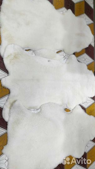Овечья шкура натуральная козья