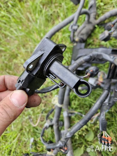 Коса подкапотная Toyota Camry 30 2A-ZFE 2004 г