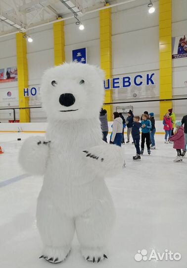 Белый медведь поздравления