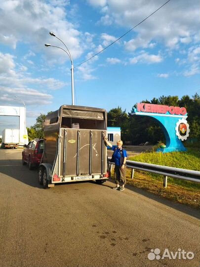 Конеперевозки