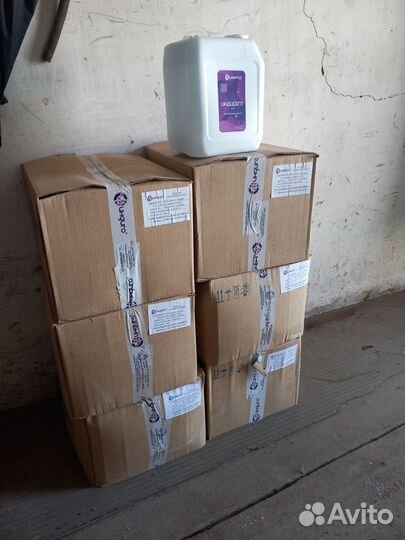 Антисептик