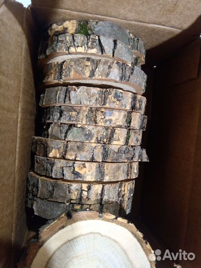 Спил дубовый, набор 11шт