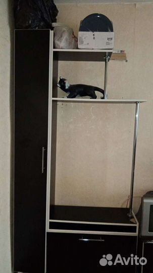 Тумба под телевизор