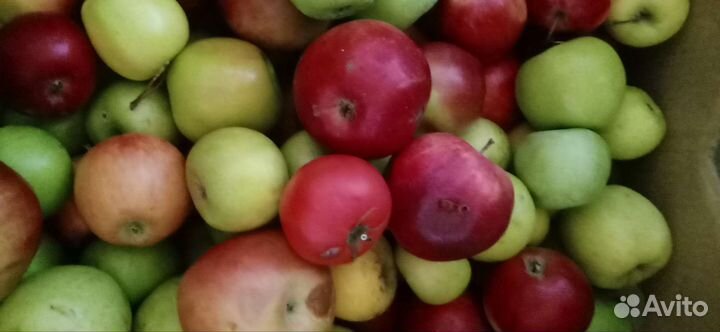 Корм(еда, продукты)