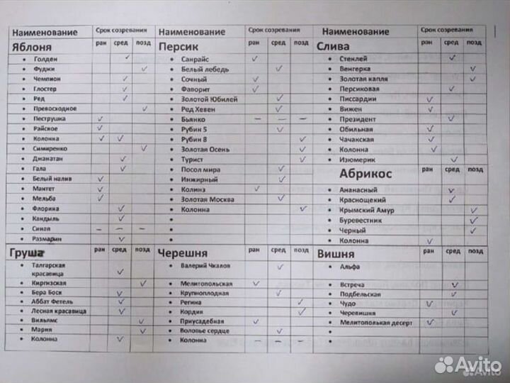 Саженцы Абрикоса Краснощекий