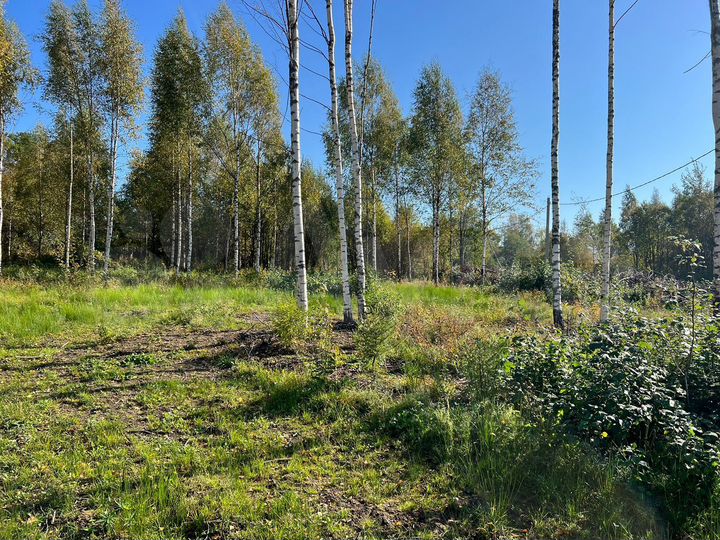 Участок 10 сот. (СНТ, ДНП)