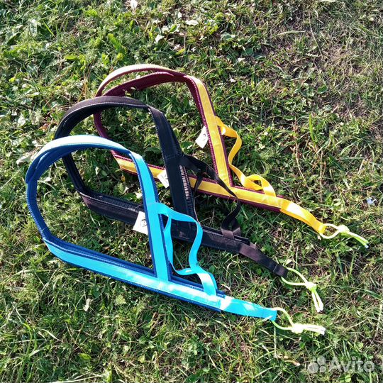 Шлейка ездовая тяговая все размеры и потяг 2.3 м