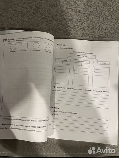 Рабочая тетрадь по биологии 9 кл, В.В. Пасечник