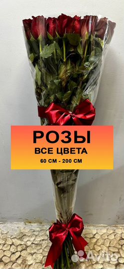 101 Роза / 51, 25 роз / пионы / ромашки