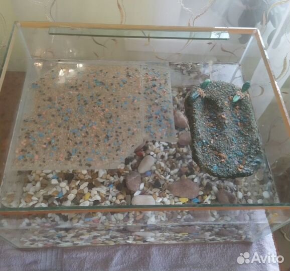Аквариум для черепах водных