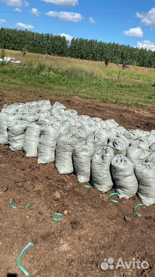 Перегной, чернозём, почвогрунт