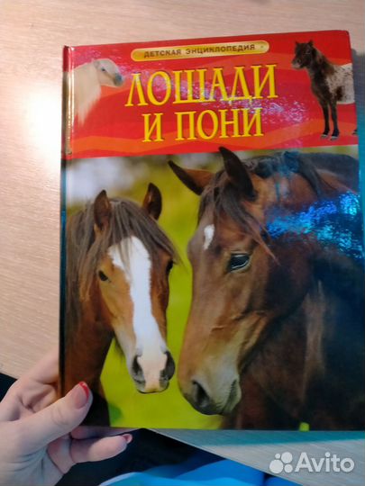 Книги энциклопедия про лошадей