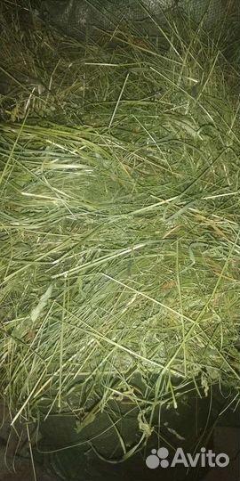 Сено луговое в мешках