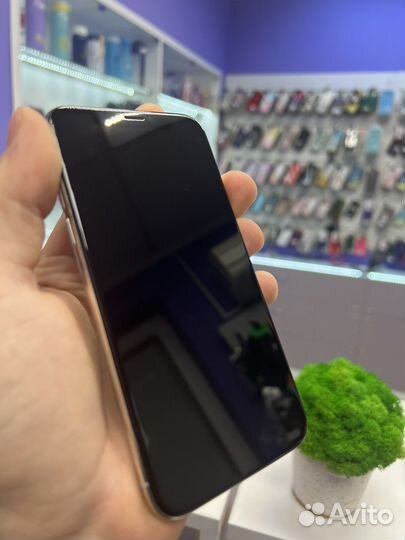 iPhone X, 256 ГБ
