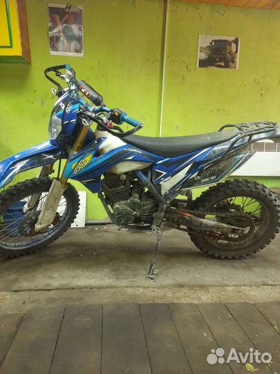 Sport 007