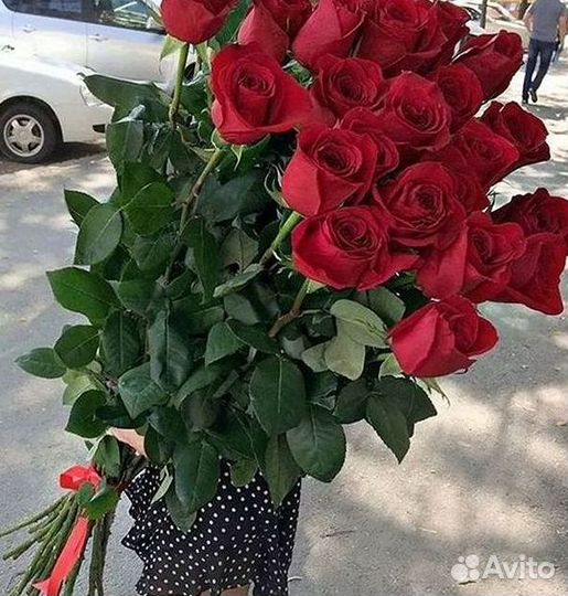 Розы Букеты Цветы Розы 31 101 151 201 Доставка