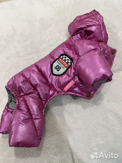 Одежда для мини йорка