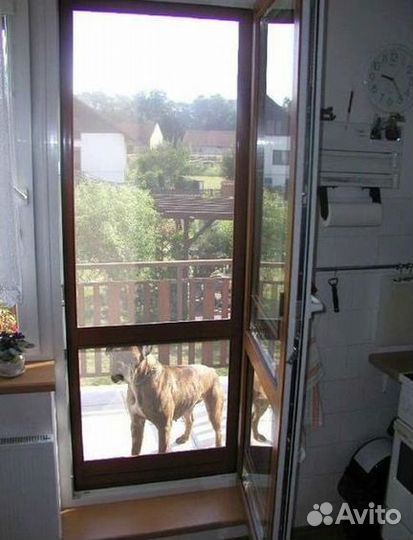 Сетка москитная