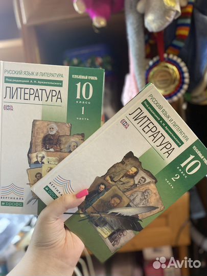 Учебник по литературе 10 класс 1-2 части