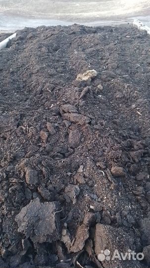 Перегной крс